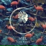 Viel