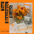The Beautiful Blind