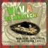 Mariachi Tepatitlán De Salvador Lopez