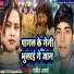 Ranjeet Arya