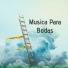 Relax Music Meditation