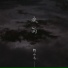 野小马