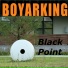 Boyarking