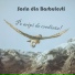 Sorin din Barbulesti