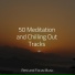 Musica Relajante, Study Power, Life Sounds Nature