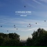 Cordless Kites