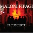Maloni Fipagi