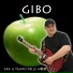 GIBO