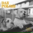 Dan Poloni