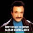 Hassan Shamaizadeh