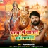Bipin Prajapati