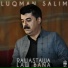 Luqman Salim