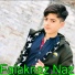 Falaknaz Naz