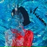 Pierrette