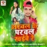 Prem Ankesh Raj, Radha Bharti feat. KVY M