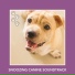 Relaxing Dog Music