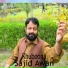Sajid Awan
