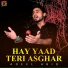 Adeel Abid
