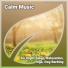 Relaxing Spa Music, Deep Sleep, Quiet Music
