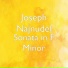 Joseph Najnudel