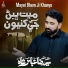 Syed Raza Abbas Shah