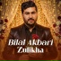 Bilal Akbari
