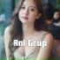 ANL Grup