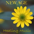 Chakra Meditation Specialists