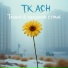 T.k.a.ch