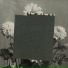 Rose Riebl
