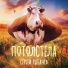 Сергей Рыбачёв
