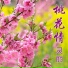 灵丽