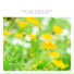 Melodic Sky