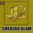 Shehzad Alam