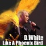 D.White