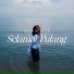 Syiqin Azln