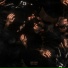 wavescale, shees, Denzy