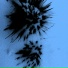 C}{imps 8 My Ears