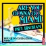 Phunk Investigation, Paul Bingham
