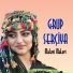 Grup Serçiya