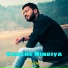 Mr Dev