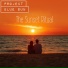 Project Blue Sun