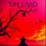 Tim Livid