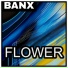 Banx