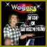 WAGNER SANTOS