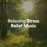 New Age Anti Stress Universe