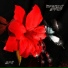 PurpLex feat. PHOENiX, Lovely
