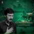 Ali Imran Naushad