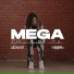 Mega Risna