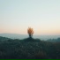 Calmer